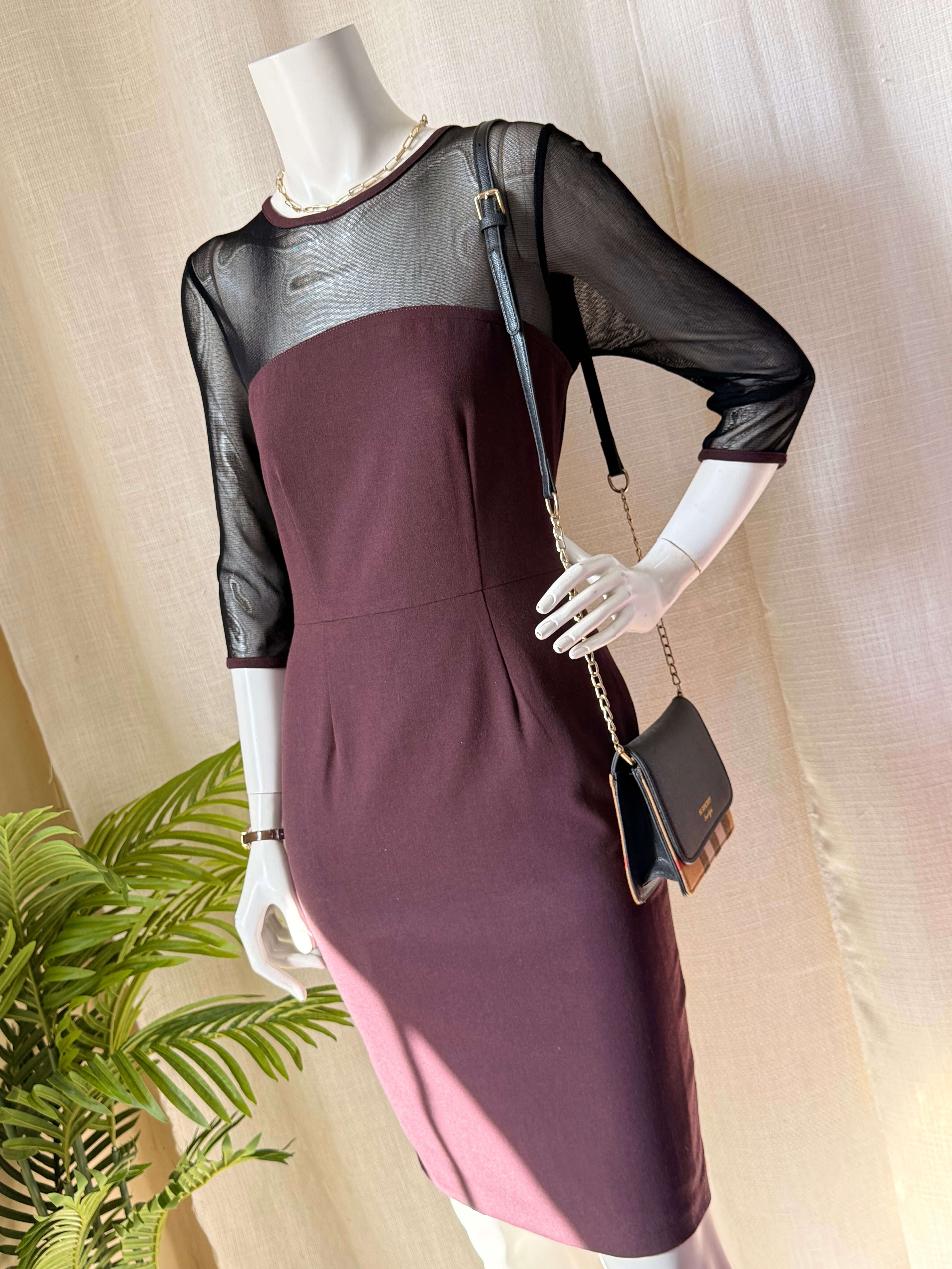 NEXT Plum Dress with Sheer Mesh Sleeves | UK 8