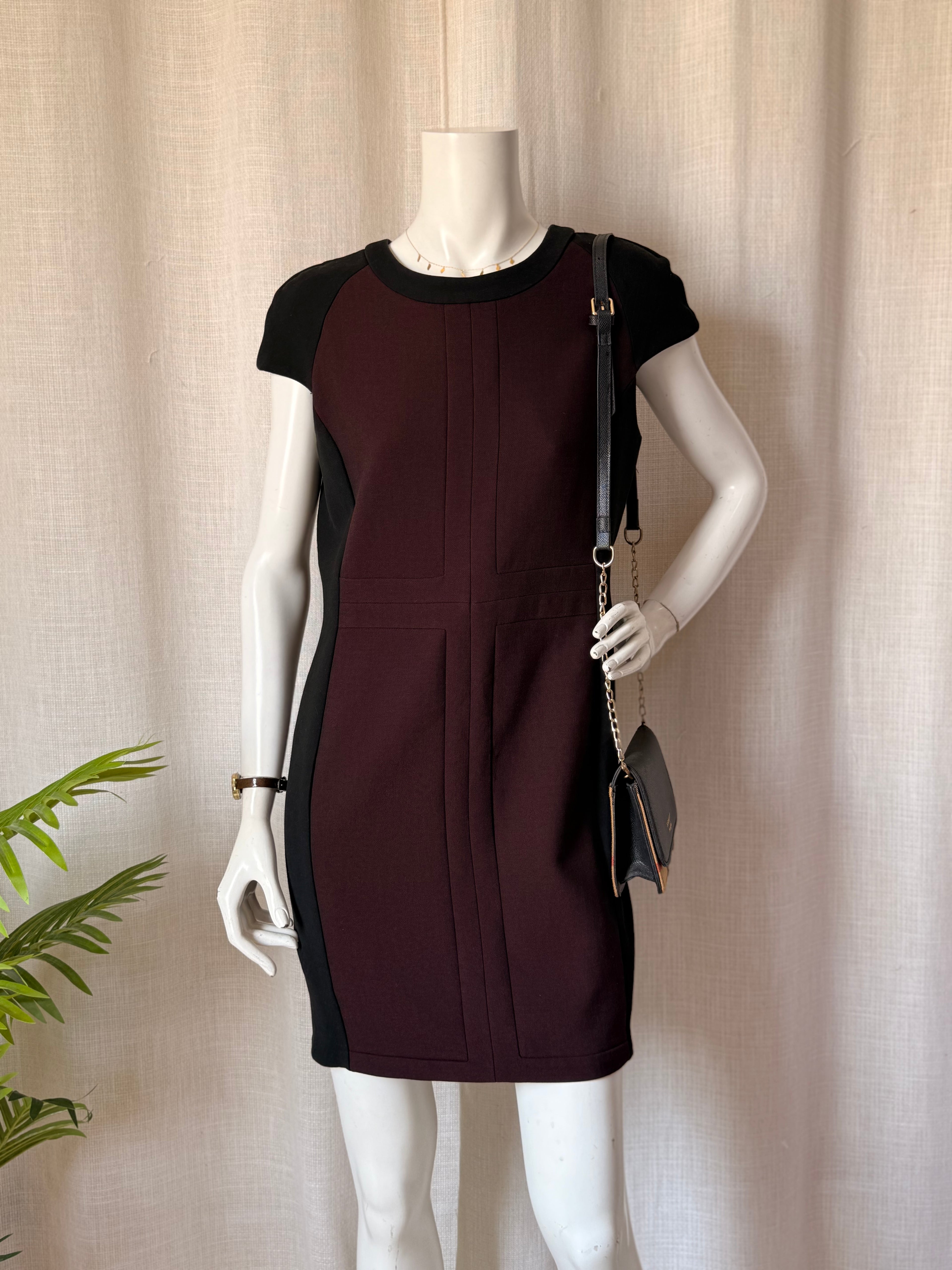 Zara Burgundy & Black Colorblock Mini Dress | Size L