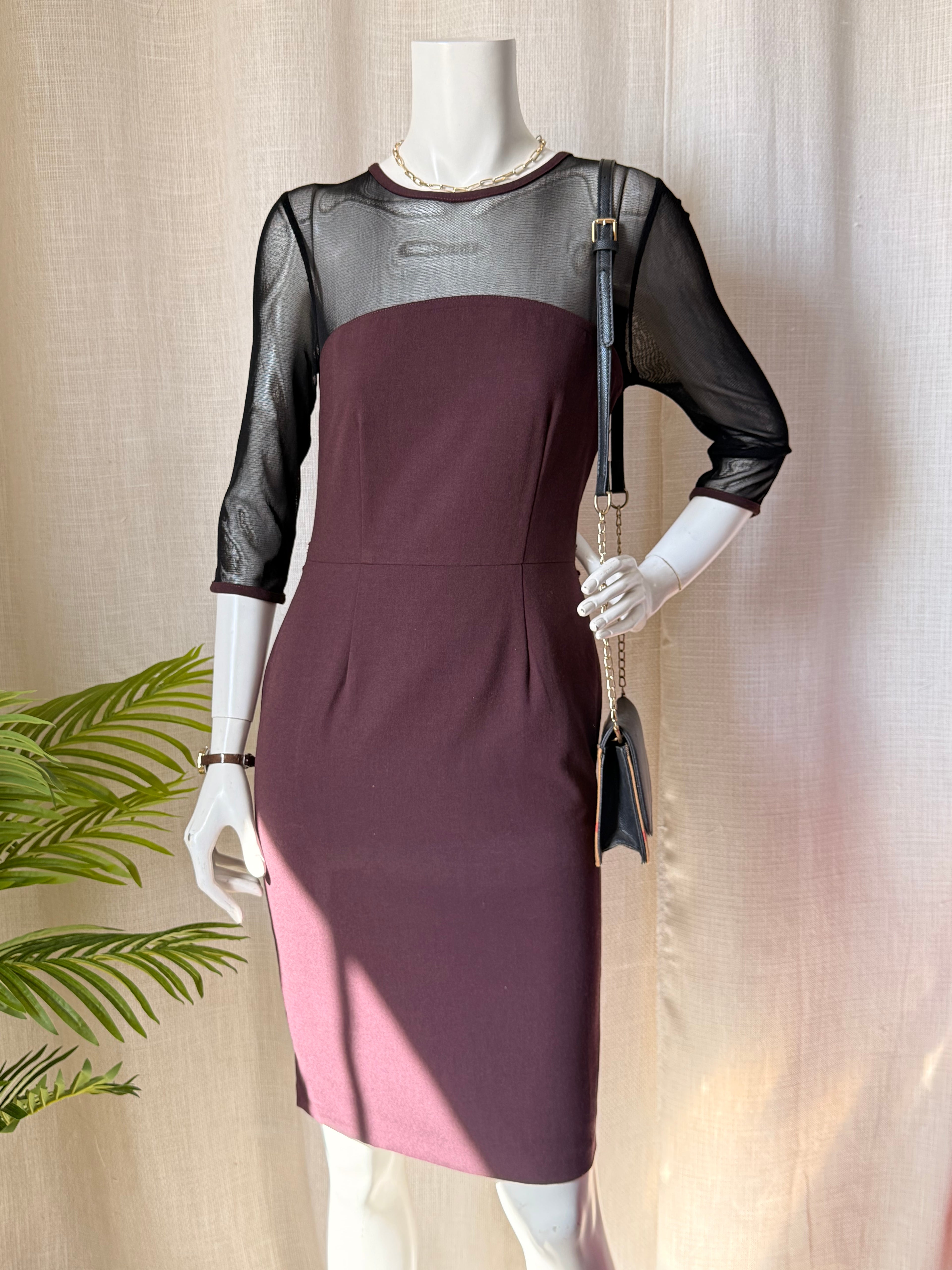 NEXT Plum Dress with Sheer Mesh Sleeves | UK 8
