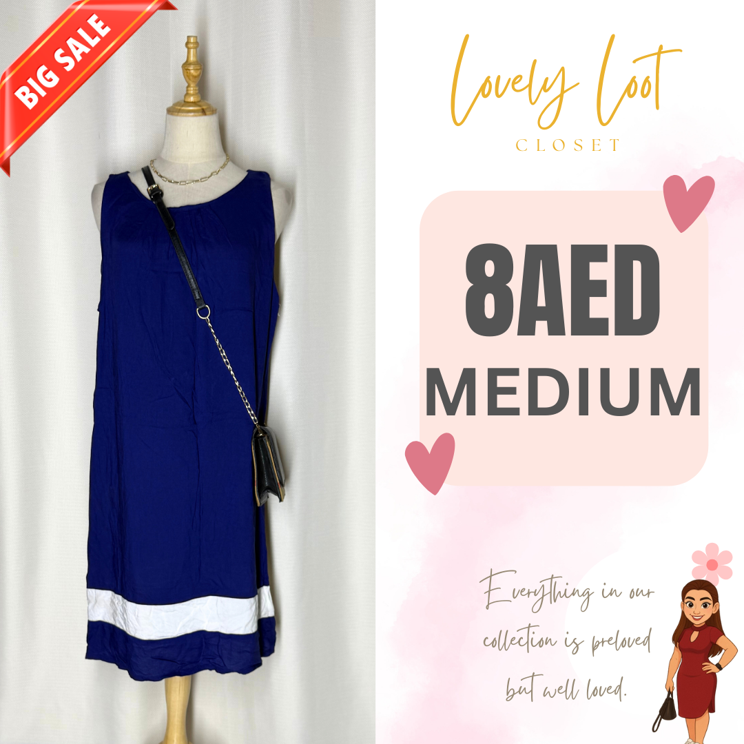 Blue and White Sleeveless Dress (Medium)