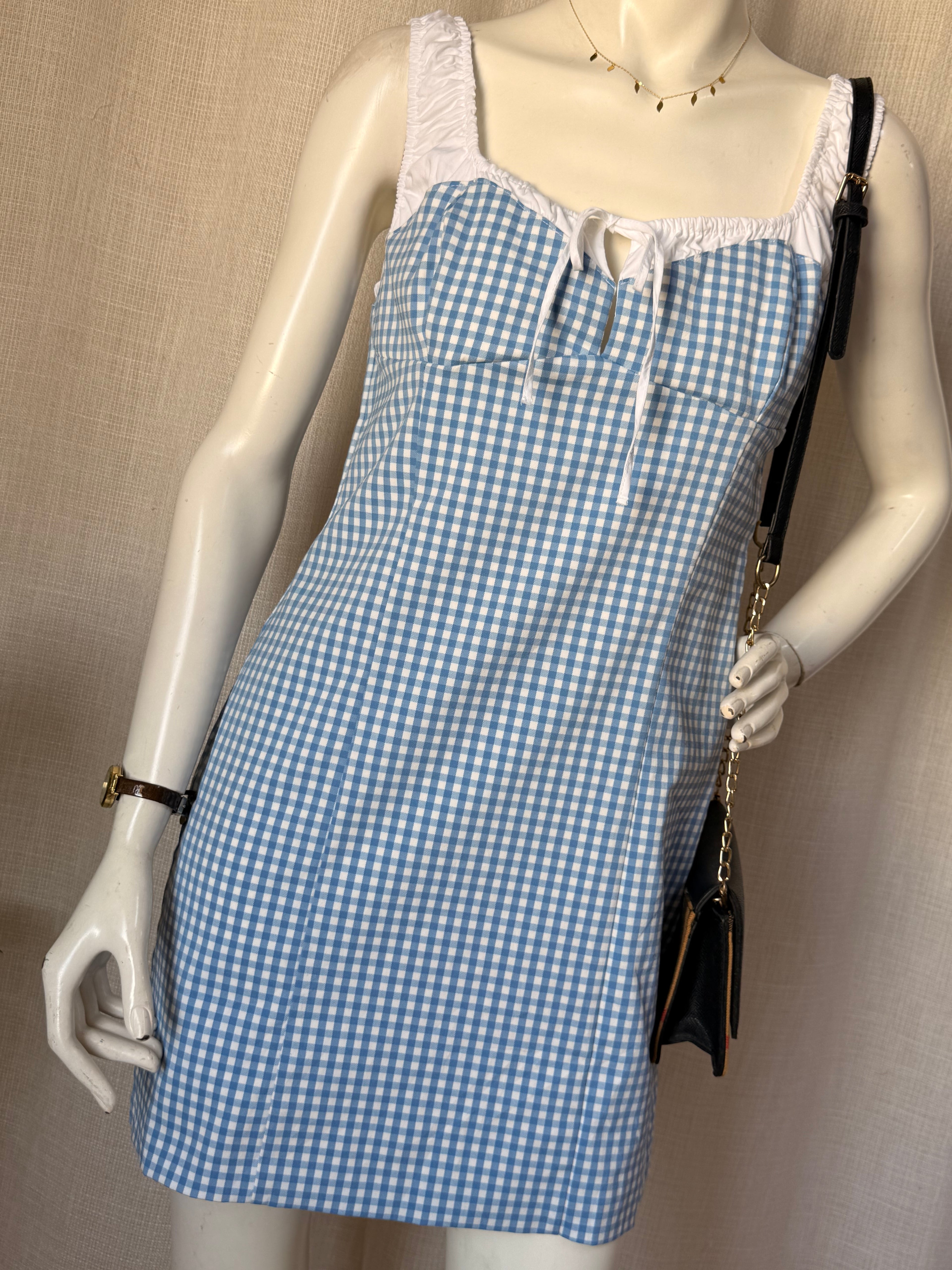 Zara Blue Gingham Picnic Mini Dress | Large