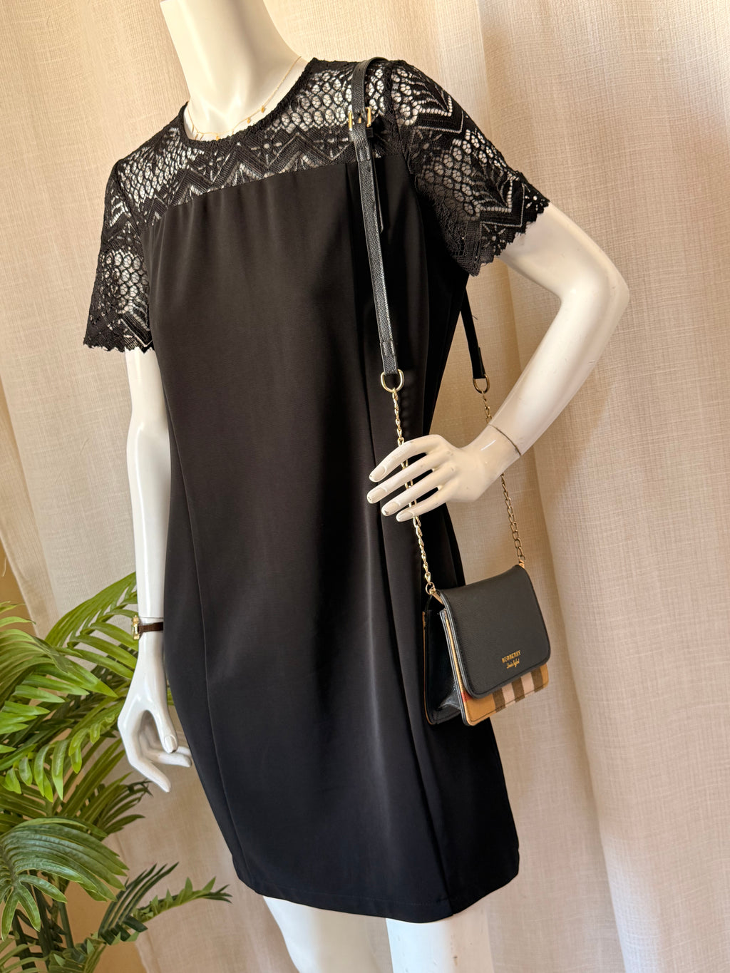 Signature Agenda Lace Yoke Dress | EUR 40