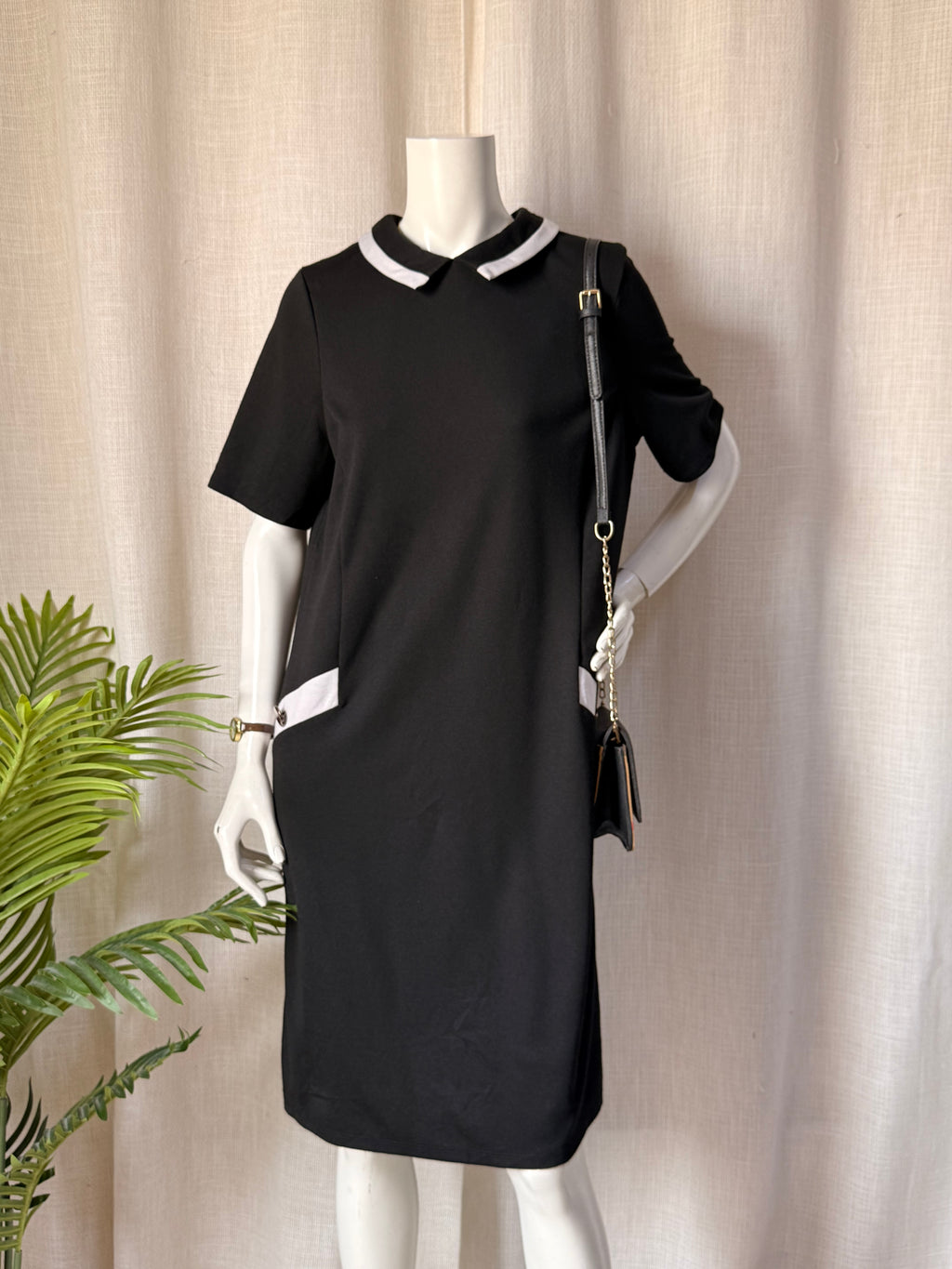 Wallis Black Contrast Collar Shift Dress – UK 16 | Elegant Workwear Midi Dress | Plus Size