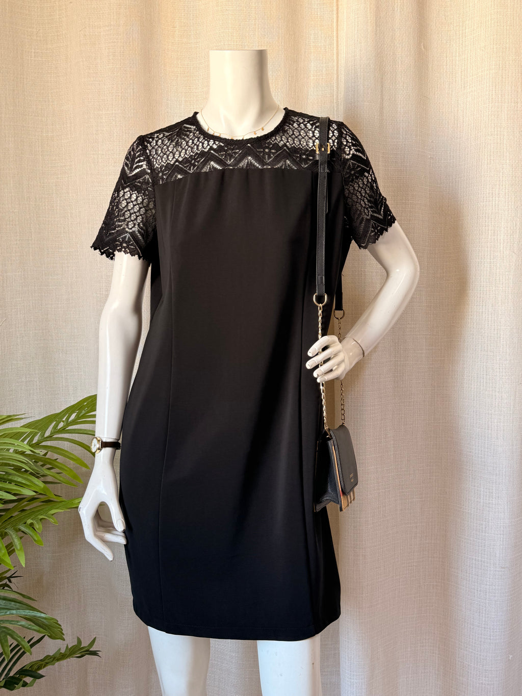 Signature Agenda Lace Yoke Dress | EUR 40