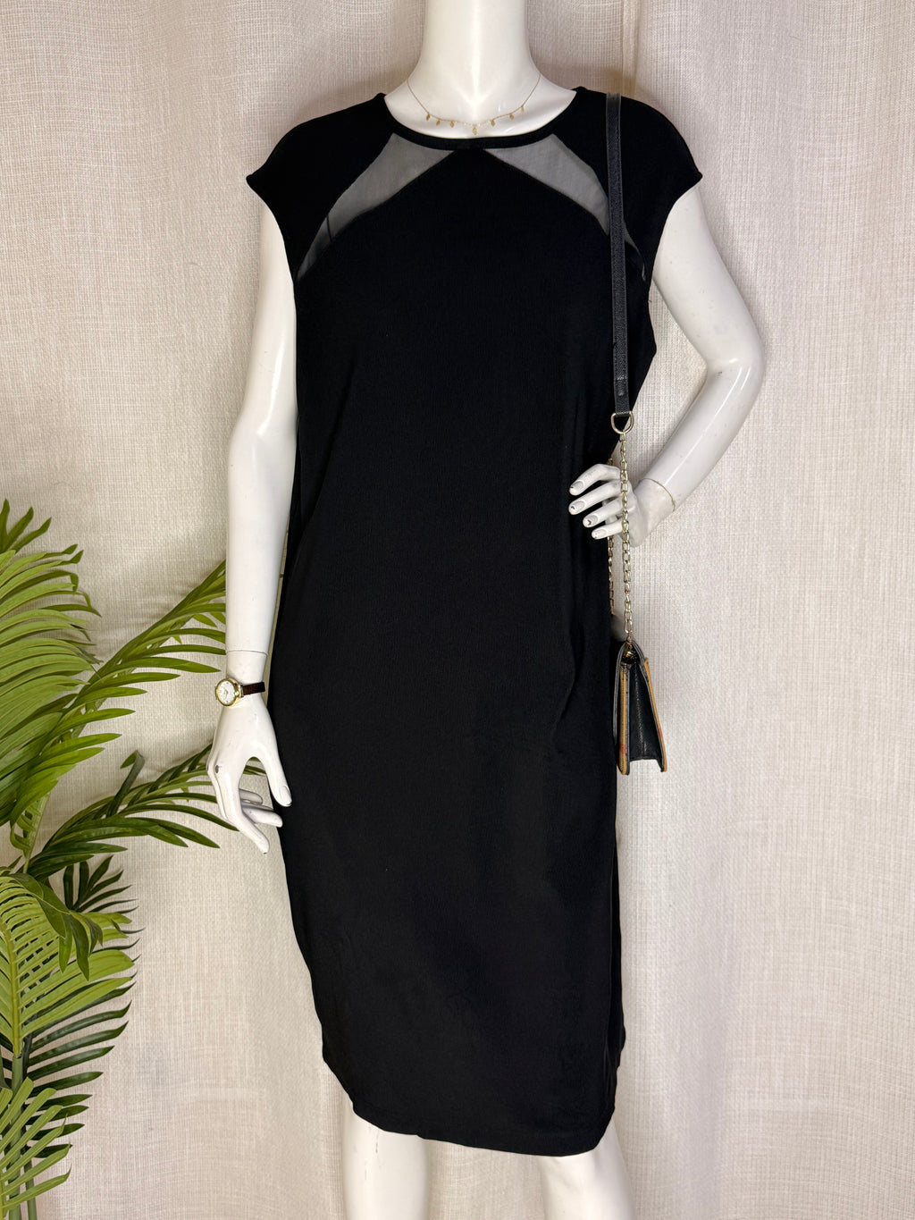 CASTALUNA Sheer Mesh Panel Black Shift Dress - Plus Size Curve (Size XL / XXL)