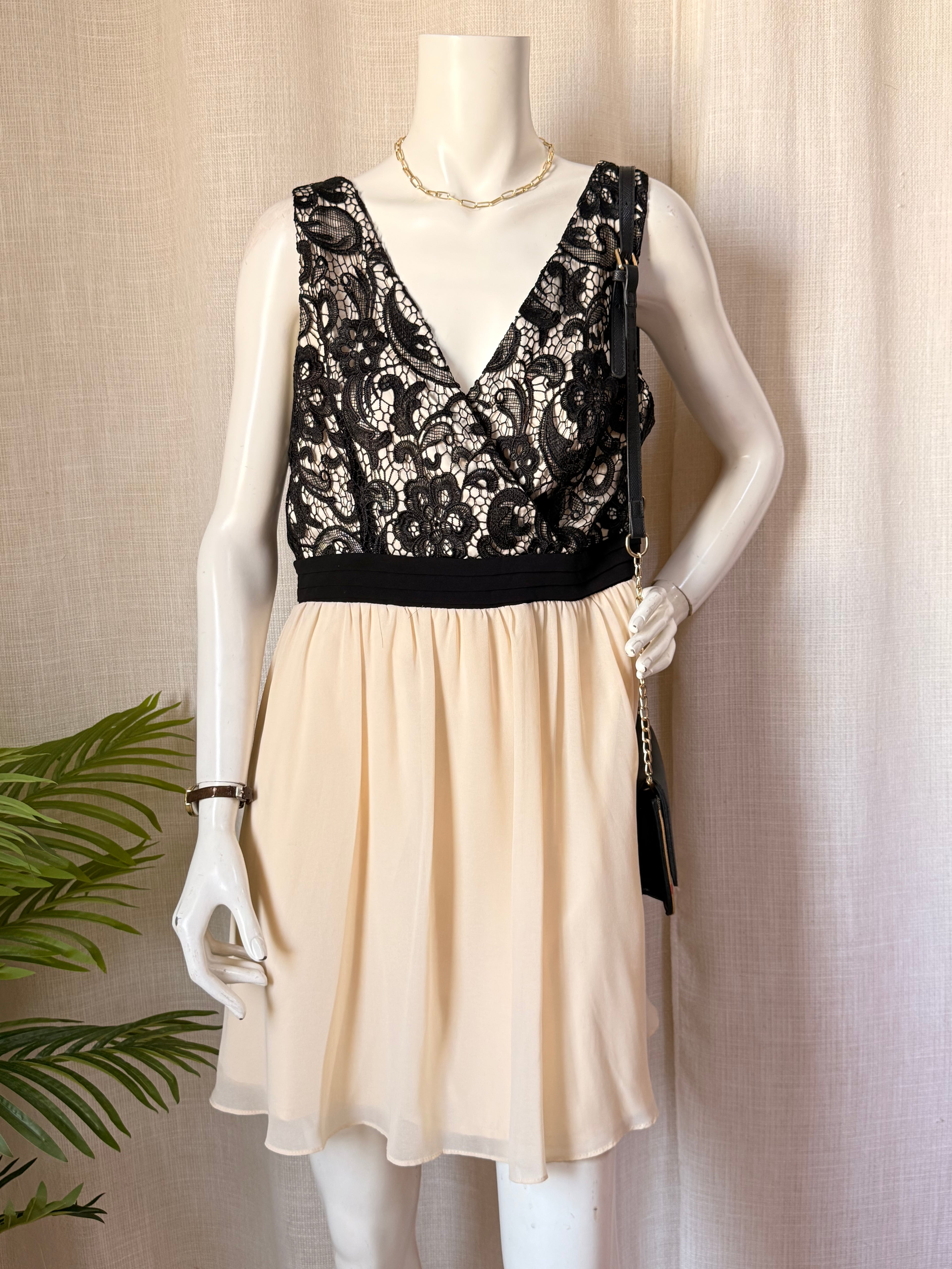 Black Lace & Cream Skater Dress by Little Mistress - Women’s Size 18 - New with Tags
