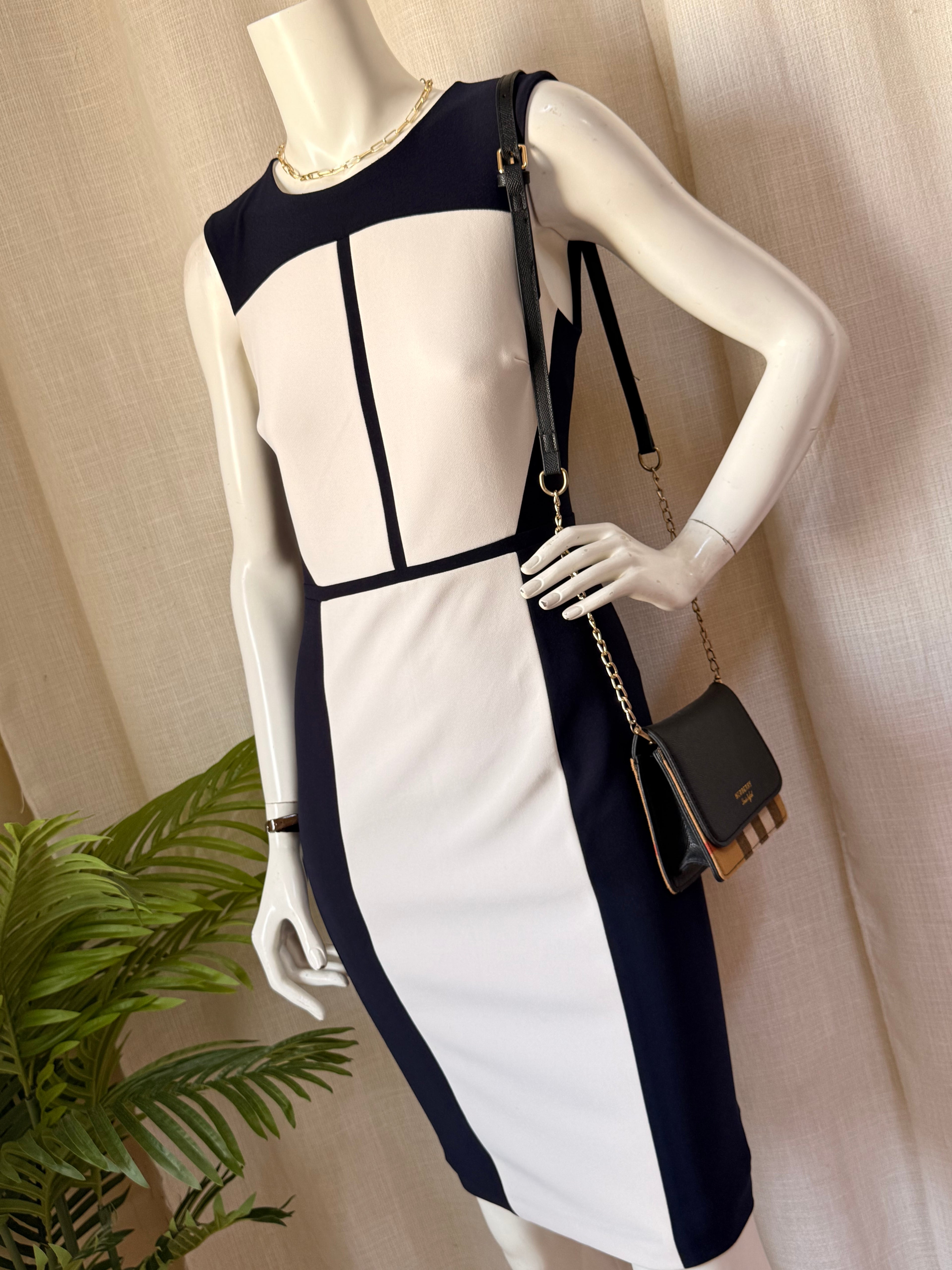 🇦🇺 Chic Investment: PORTMANS Preloved Workwear Dress UK 8